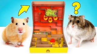 DIY Hamster Maze With Pringles Can And Spinner Obstacles