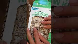 Oyster Mushroom Grow Kit Timelapse (ASMR) #backtotheroots #growonegiveone