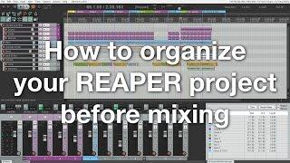 How to organize your REAPER project before mixing