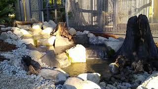 Pondless Waterfall