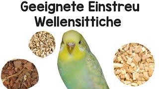 Welche Einstreu anstatt Vogelsand kann man verwenden?