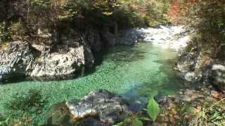 長野県　阿寺渓谷の紅葉