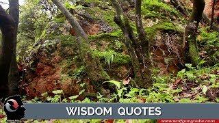 Wisdom Quotes by Unknown Authors: Wolfgang Riebe