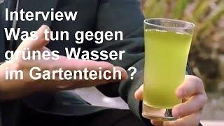 Grünes Wasser im Gartenteich - Hintergrundwissen zum Thema "Grüner Gartenteich" - Video