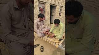 Chotay bhai k sath subha ka nashta|Sultan baloch#sultanbaloch #pakistanivlog #nicevlogs