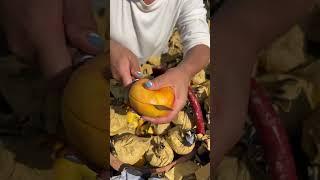 Beautiful Nature - Inspur Fresh Fruit wonderful video of Industry #5372