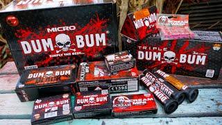 VUURWERK AFSTEKEN VAN DUMBUM & SCREAM! 