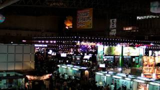 Tokyo Game Show 2009, Scene 2