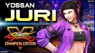 Yossan (Juri)  Street Fighter V Champion Edition • SFV CE