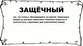 ЗАЩЁЧНЫЙ - что это такое? значение и описание