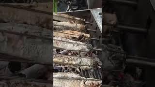 Best Yummy  Yummy Grilled Fish