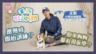 【毛孩特訓班 01】犬隻訓練顧問：幾時開始訓練？點樣學先至好？｜Smart Pet Pet