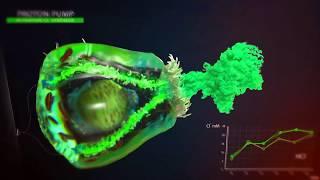 Nanobot Medical Animation Studio Showreel