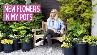 A Container Garden That Soothes the Soul