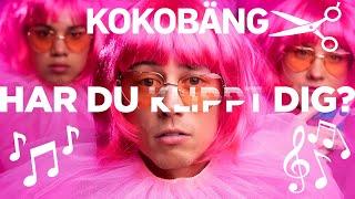 Kokobäng: Musik -Har du klippt dig? #musik #kokobäng