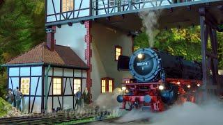 Steam Train Model Railroad Layout – Gauge 1 Steam Locomotives and Model Trains