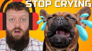 How To Stop Your Dog From Crying And Whining Now!