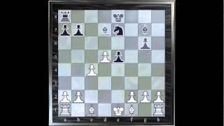 ChessMaster GME: Waitzkin J. Vs. Shaked T.