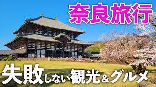 【奈良観光】おすすめ観光スポット＆グルメ夫婦ぶらり旅！日本１位の吉野桜が圧巻すぎた！