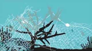 Threats of Ghost Fishing