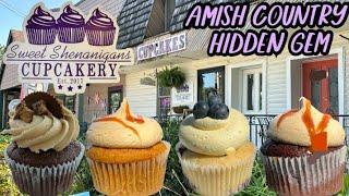 Sweet Shenanigans Cupcakery Review - Intercourse Pa (Amish Country Hidden Gem)