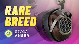 Open-back  Bassy  Sivga Anser REVIEW