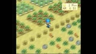 Harvest Moon: Back to Nature PlayStation Gameplay