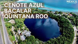 Visit the Cenote Azul in Bacalar and cool off in its crystal clear water