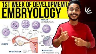 general embryology anatomy | first week of development embryology | Johari MBBS