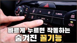 운전자 대부분이 모르는 버튼을 빠르게 누르면 작동하는 숨은 기능 / HIDDEN FEATURES OF MY CARS [ 차업차득 ]