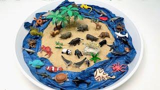 3 Type Small World In Tray For Animals | Sea Animal With Island Learn Animals 쟁반 위 스몰월드 동물 디오라마