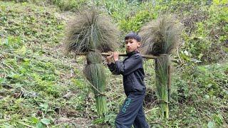 Nam - poor boy: Goes to the forest to cut chit trees to sell and buy pots to cook with