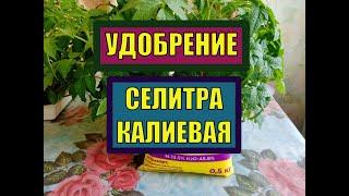 КАЛИЙНЫЕ УДОБРЕНИЯ: СЕЛИТРА КАЛИЕВАЯ (НИТРАТ КАЛИЯ). ОБЗОР. ОПИСАНИЕ. ХАРАКТЕРИСТИКА.