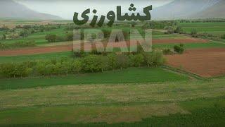 کشاورزی در ایران / Agriculture in Iran