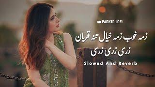 Zari Zari Zari [ Slowed+Reverb ] Nazia Iqbal | Pashto Lofi