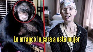 La mujer que llamo al 911 porque un chimpance le arrancó el rostro a su amiga.