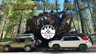 Sequoia National Park, CA 2023 #overlanding  #sequoianationalpark #camping