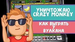 Как выиграть в казино Вулкан? Алексеев уничтожил Crazy Monkey!