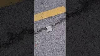 Brewing tea at Walmart? #shorts #shortstrending #shortsvideo #shortsviral #food #tea