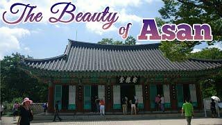 Tour in Asan, south Korea - Can Travel