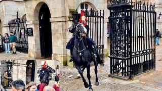 Incredible Horsemanship: Royal Guards Handle High Drama at Horse Guard!"