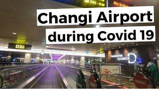 COVID 19 : Before Lockdown (PART 2/3) | Singapore Changi Airport | Anne Plugged