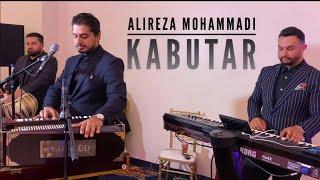 Alireza Mohammadi - Kabutar Tajiki Song | NEW 2023 Afshari Mast | Live Afghan Wedding