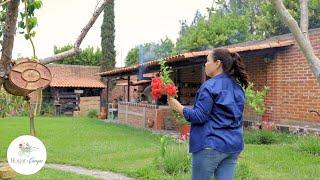 Beef Discada  and Flour Tortillas: A Day of Cooking and Gardening 