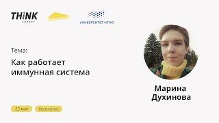 Как работает иммунная система