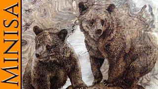 PYROGRAPHY: Wood burning of two bears on an Aspen burl