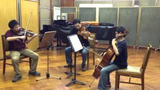 Leon, Philip and Kin Fung Leung play Trio in B flat major by W. A. Mozart