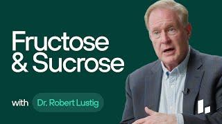 Sugar, Fructose, Sucrose, and Glucose | Dr. Robert Lustig