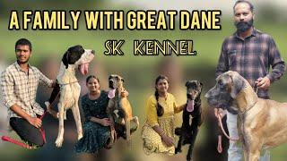 Great Dane SK kennel visit Hyderabad |Great Dane breeder | #greatdane #vlog #telugu #hyderabad #dog