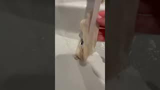 Как отстирать велосипедную смазку с одежды #велосипед#пяиновыводитель#смазкавелосипедная#велоспорт